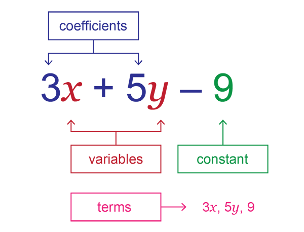 What Are Like Terms In A Math Expression Best Post