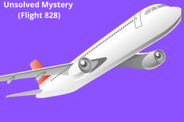 Unsolved Mystery (Flight 828)