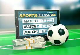 Basic but Essential Things to Know About Live Sports Betting